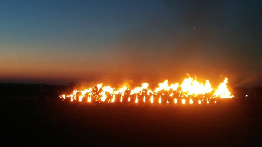 W pożarze stogu siana w Kurowie spłonęło ponad 250 balotów...