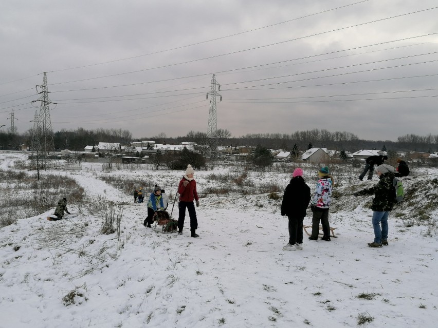 Zima 2021 w Tomaszowie Mazowieckim. Zadowolone dzieci oblegają górki w całym mieście [ZDJĘCIA]