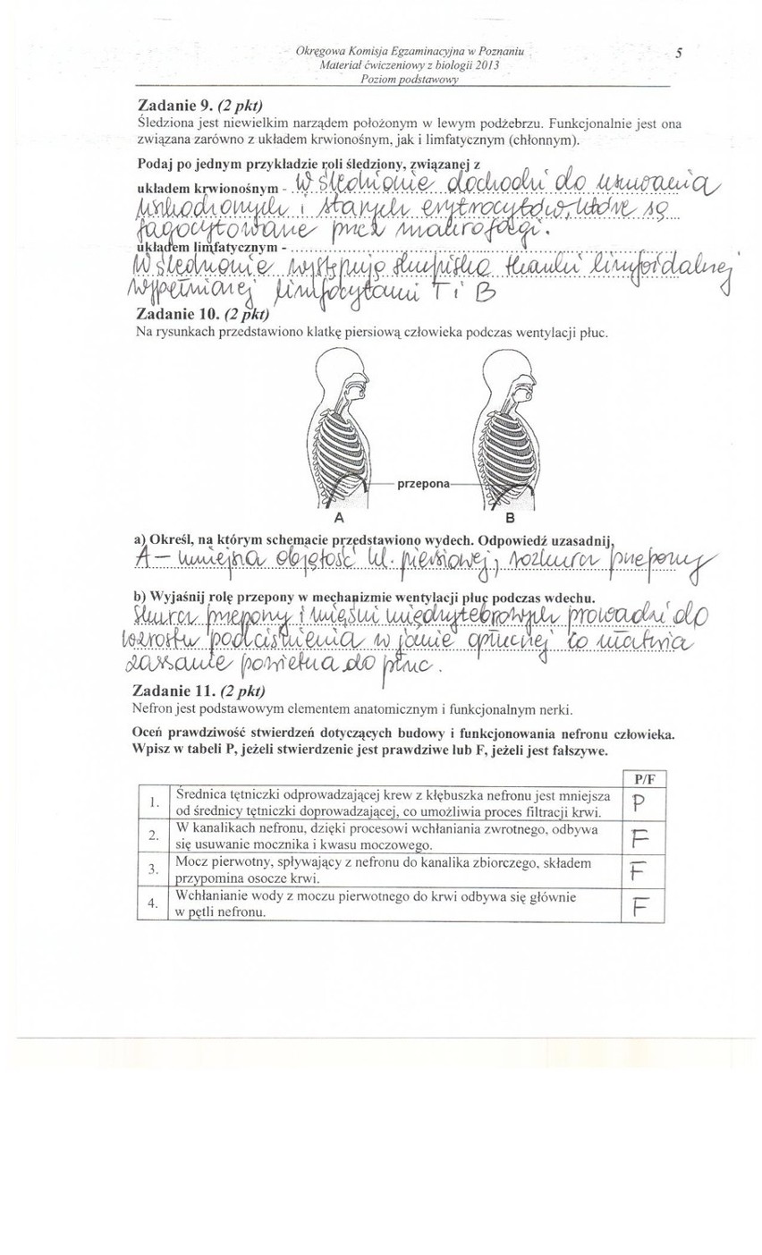 Próbna matura 2013: Biologia [ARKUSZE, ODPOWIEDZI]