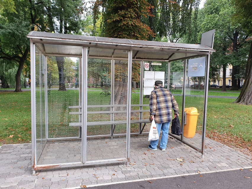 Leszno. Przystanki w kropki w kilku miejscach miasta. To specjalne działania ochronne. Chodzi o ptaki [ZDJĘCIA]