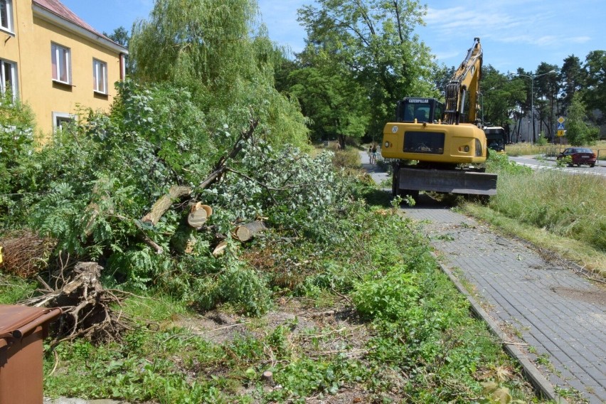 Trwają prace przy rozbudowie wylotówki z Kielc. Rozpoczęła się gigantyczna wycinka drzew i krzewów