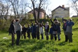 Dzień Ziemi w Żaganiu! Drużyna zuchowa "Czarne Kruki" posadziła swoje drzewo na skwerze przy ul. Chopina!