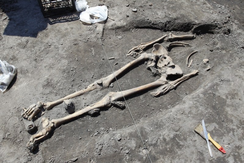 Szkielety na Śródce. Odkrycie może mieć nawet tysiąc lat