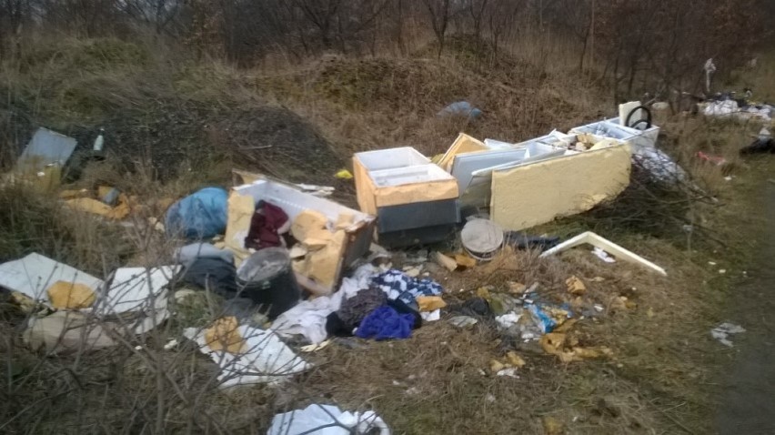 Śmieci na Ujeścisku. Mieszkańcy spacerują, jak po polu minowym ZOBACZ ZDJĘCIA!