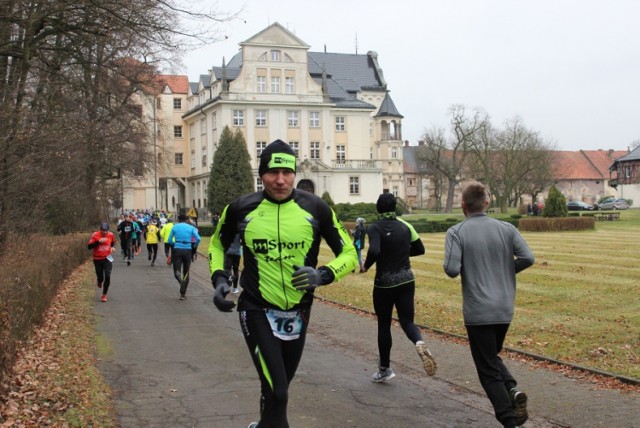 Bieg VIII Grand Prix Zagłębia Miedziowego za nami