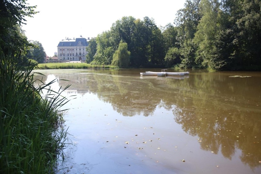 2. Park zamkowy w Pszczynie

Znajdziemy tu mnóstwo...