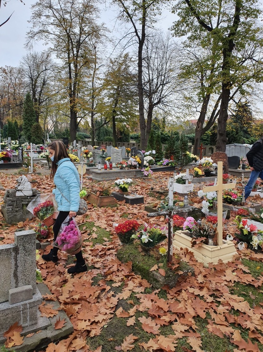 Legnica. Fundacja Marysieńka dekoruje chryzantemami zapomniane groby w Legnicy oraz powiecie legnickim i jaworskim. Piękna akcja! [ZDJĘCIA]
