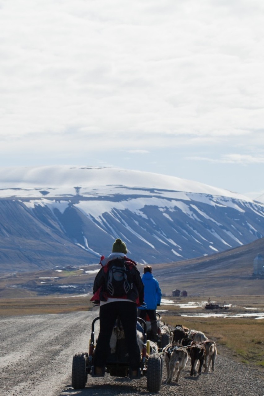 Spitsbergen - 1200 km od bieguna

Byłeś świadkiem...