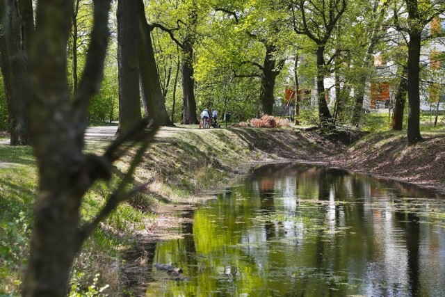 Na Maślicach mają pomysł na walkę z suszą. Czysta woda z budowy zasila staw