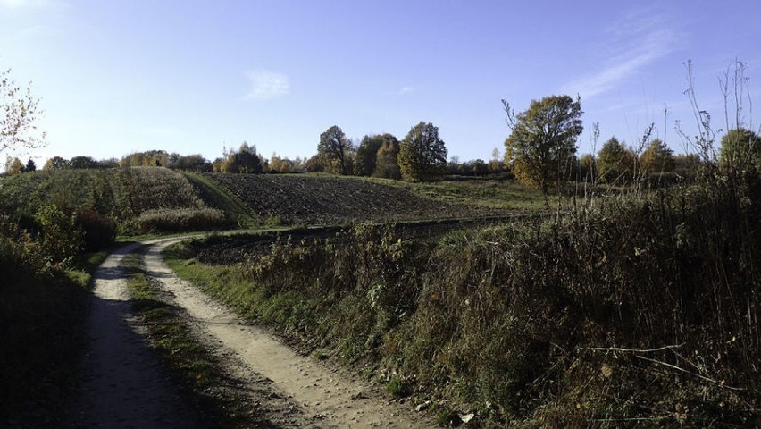 Jesienny Kazimierz i okoliczne wąwozy. Zobacz kolorową galerię zdjęć