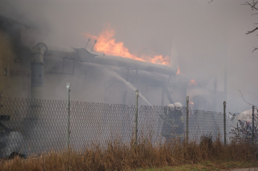 Pożar w Rudzie koło Skierniewic [ZDJĘCIA]