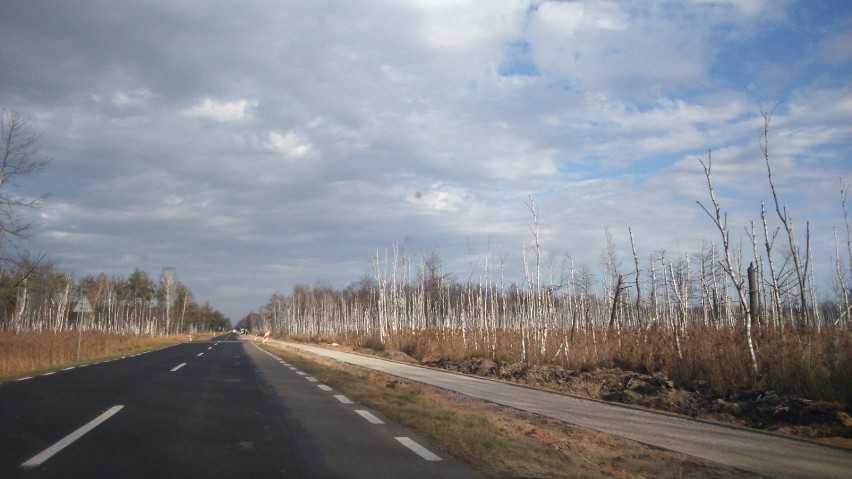 region. Trasy rowerowe Polski wschodniej - powiat włodawski...