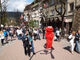 Zakopane. Kłopot z parkiem kulturowym dla Krupówek