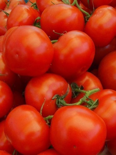 Dorodne pomidory to podstawa do stworzenia wielu wspaniałych dań