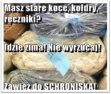 Studenci Uniwersytetu Trzeciego Wieku w Wejherowie pomagają psom ze schroniska w Dąbrówce