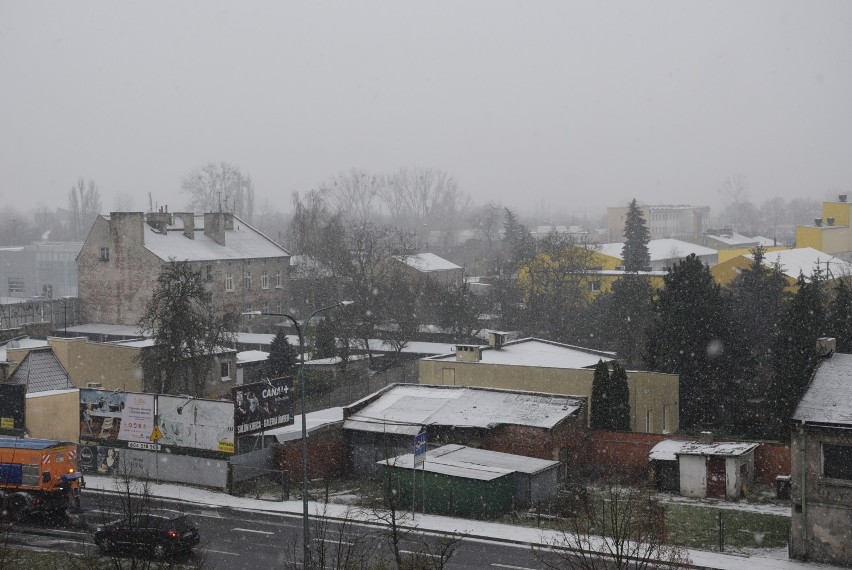 W Kaliszu spadł śnieg. Zobacz, jak wygląda przykryte cienką...