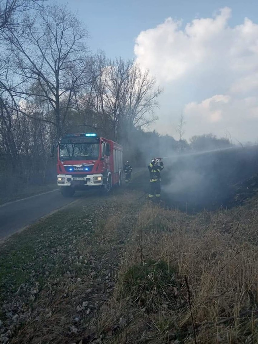 Międzybórz: Ochotnicy interweniowali do pożaru nieużytków