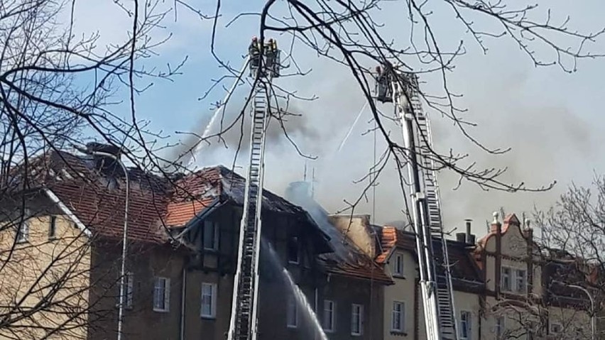 Tragiczny pożar w Strzegomiu. Nie żyje jedna osoba (ZDJĘCIA)