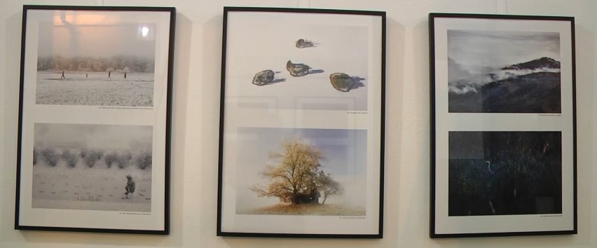 Wystawa "Zdjęcie roku" w zamojskiej galerii Ratusz