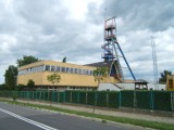 Wyjątkowa kopalnia srebra w Tarnowskich Górach. Dlaczego warto ją zwiedzić?