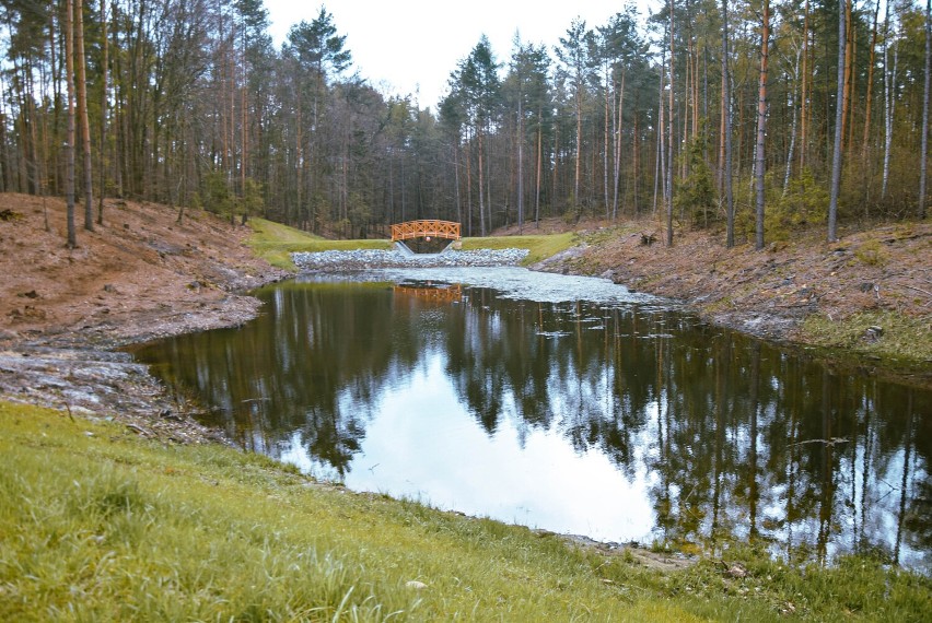 Piętnaście zbiorników retencyjnych na terenie Nadleśnictwa Oleśnica Śląska. Odbyło się podsumowanie projektu