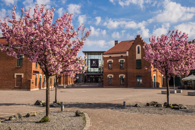 Plac przed Galerią Kazimierz