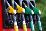 Jak zmieniły się ceny paliw? Sprawdź ile kosztują na wągrowieckich stacjach 