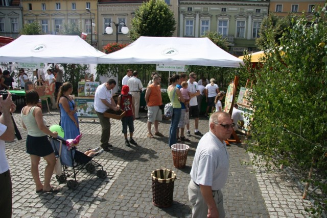 Festyn Lasom Przyjazny odbędzie się 31 maja w Poznaniu