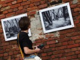 "Światło, którego nie widać" , czyli  cmentarz żydowski na unikatowych fotografiach Rafała Sosnowskiego ZDJĘCIA I VIDEO