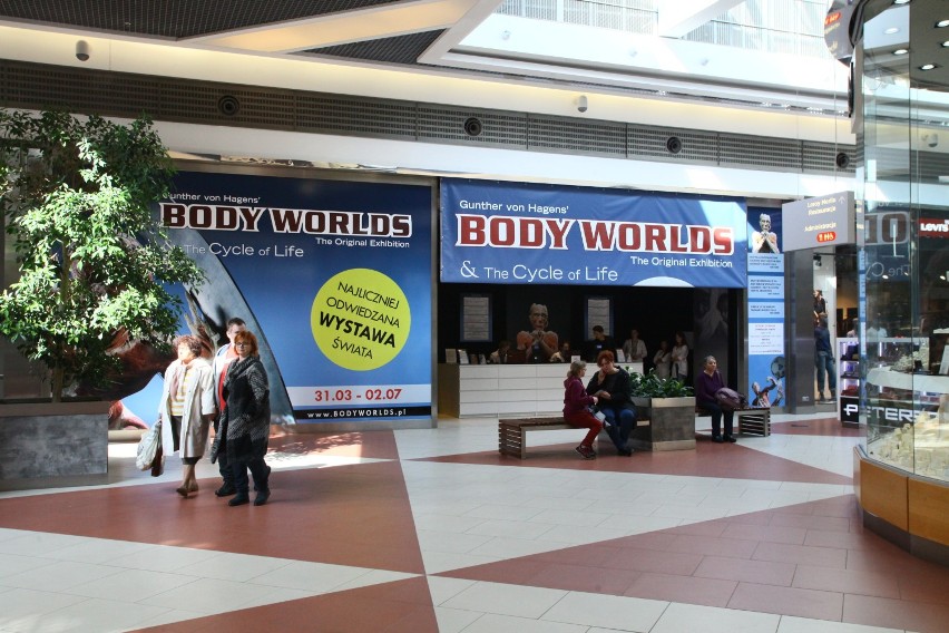 Wystawa Body Worlds w Porcie Łódź