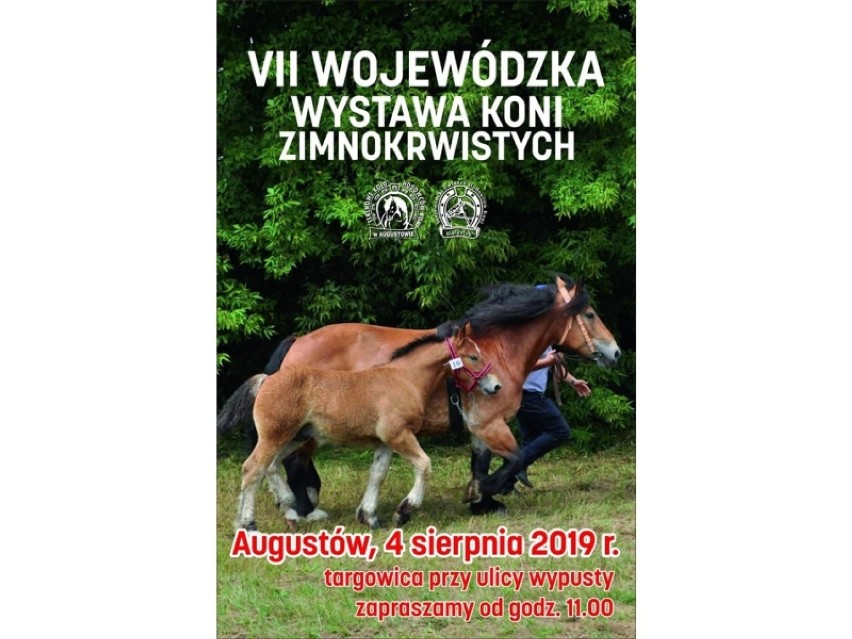 Augustów. W ten weekend będzie wiele się działo. Zobaczcie co, gdzie i kiedy