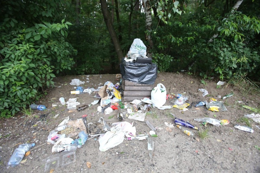 TONY ŚMIECI WOKÓŁ POGORII 

Na plaży, w leśnych ostępach, na...