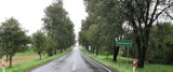 Do końca roku na Opolszczyźnie odnowionych zostanie kilkanaście kilometrów dróg krajowych i wojewódzkich. Których?