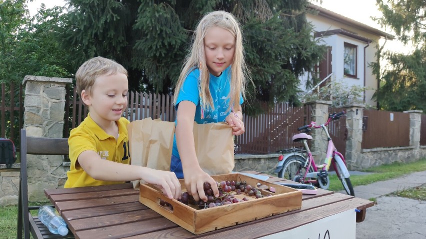 Dzieci sprzedają winogrona na Twardosławickiej w Piotrkowie