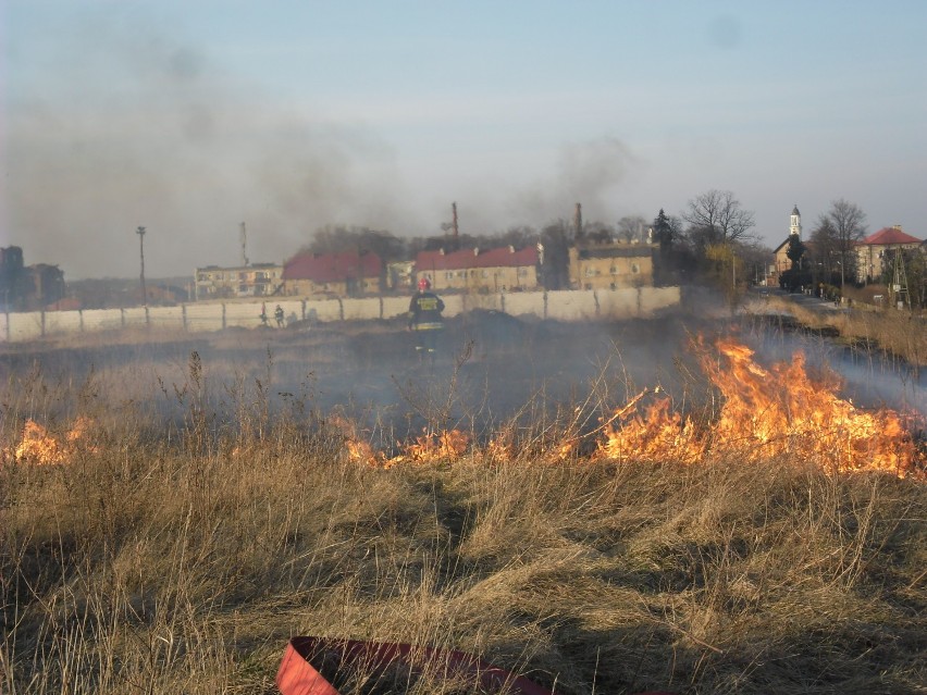 Straż Pożarna w Jarocinie: Strażacy gasili pożar trawy