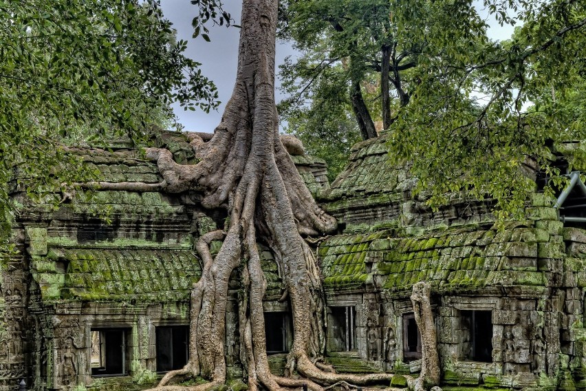 Angkor Wat, Kambodża...