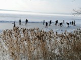 Zalew Sulejowski zimą: Na Starej Wsi morsowanie, kitesurfing, hokej i jazda na łyżwach [ZDJĘCIA]