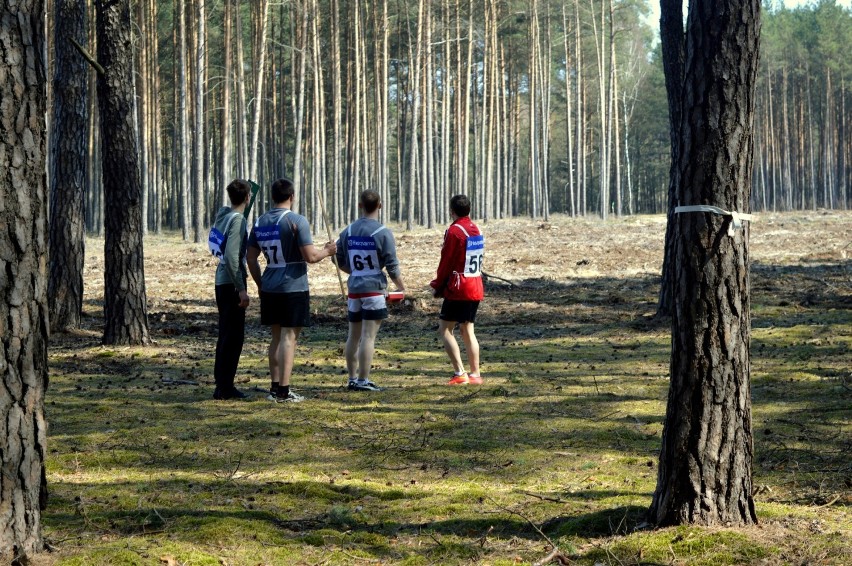 Rogoziniec. VII Mistrzostwa Polski Szkół w Umiejętnościach Leśnych - dzień trzeci