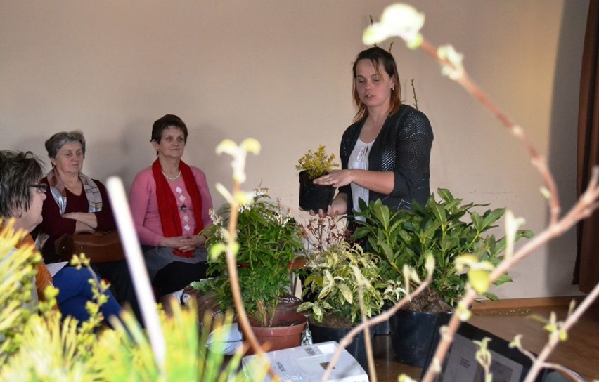 Warsztaty ogrodnicze w Koziegłowach. Jak dbać o rośliny i krzewy?