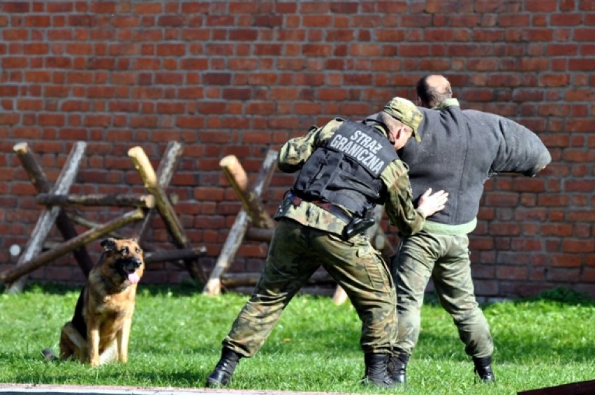 Braniewski Festyn Służb Mundurowych - pokaz SG [zdjęcia]