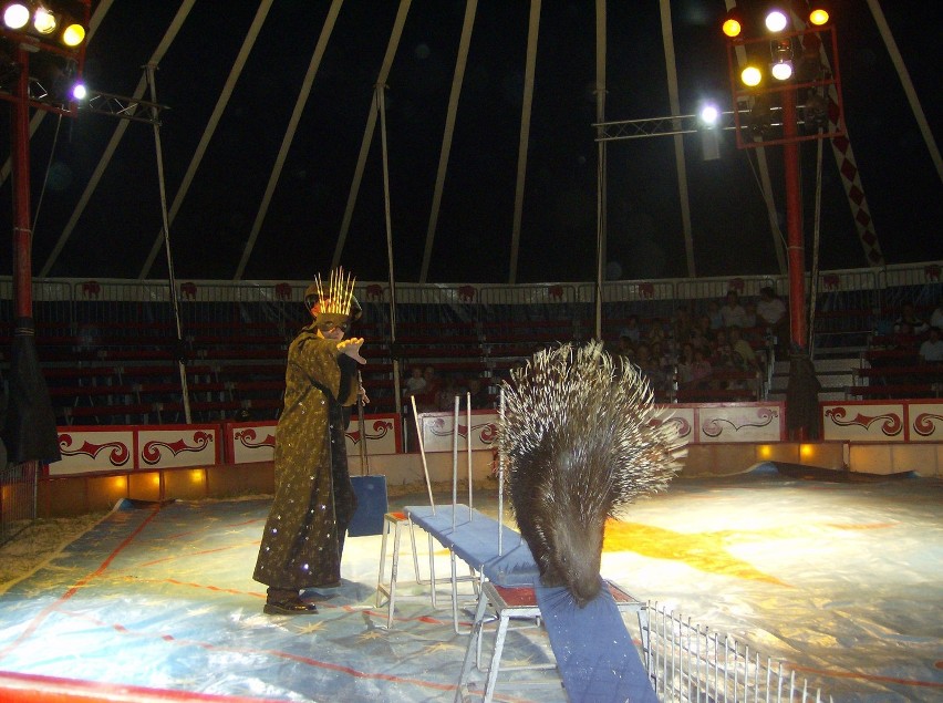 Sezon 2012 będzie wyjątkowy. W tym roku przypada bowiem 20 –...