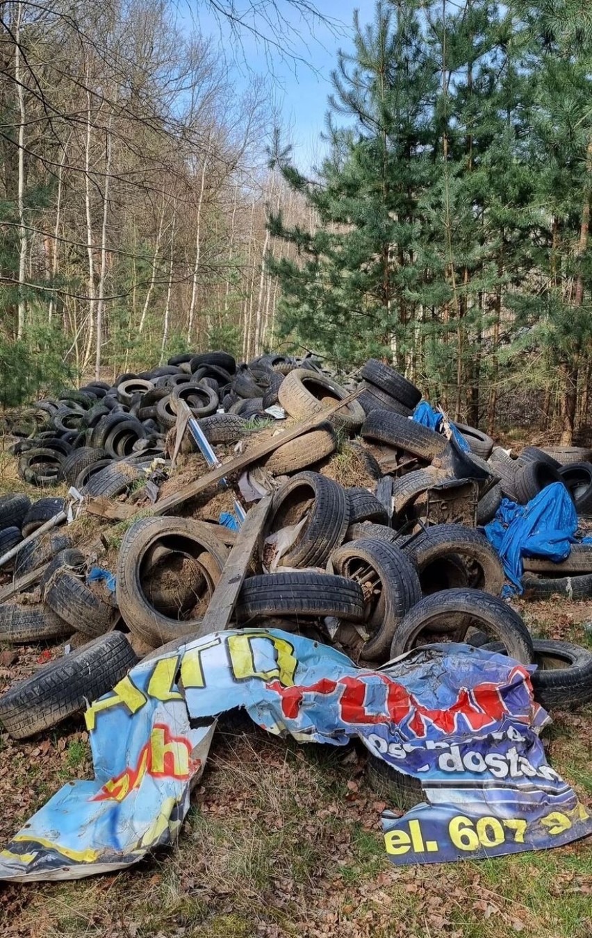 Ktoś bezczelnie wywiózł do lasu opony i części samochodowe. Niechcący wśród śmieci zostawił swój numer telefonu!