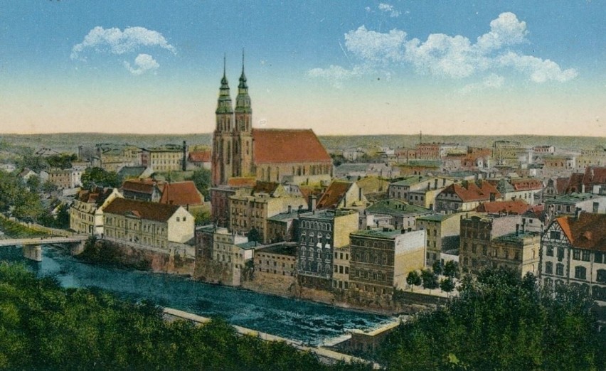 Panorama Opola, z widokiem na katedrę opolską.