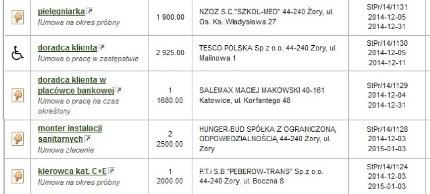 Oferty pracy Żory: Sprawdź, jakie są. Ile możesz zarobić?