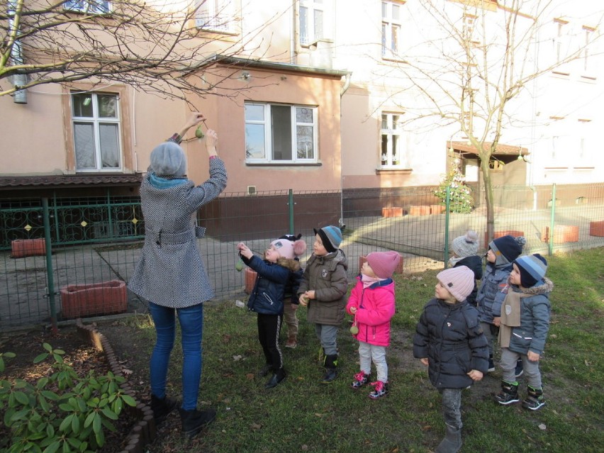 Przedszkolaki zimą nie zapominają o skrzydlatych przyjaciołach