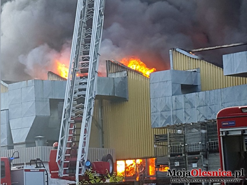 Pożar fabryki w Chełstowie