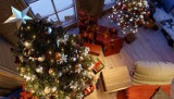 Oto najczęściej kupowane prezenty przez Internet. Sprawdź, co Polacy szukają w sieci przed świętami Bożego Narodzenia! 