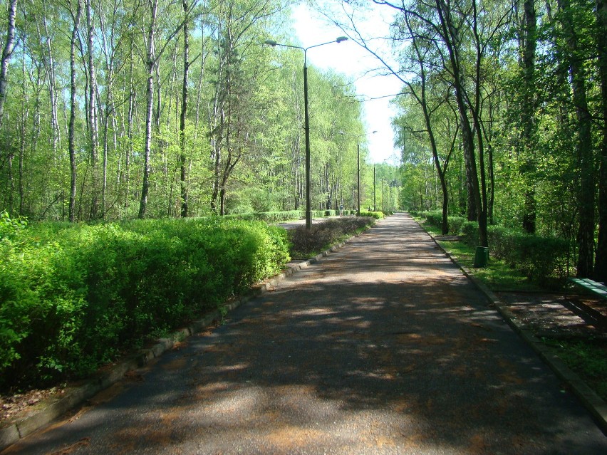 Szlaki rowerowe w Jaworznie [ZDJĘCIA]: Os. Stałe - Szczakowa - Długoszyn - Jeleń ok. 32 km