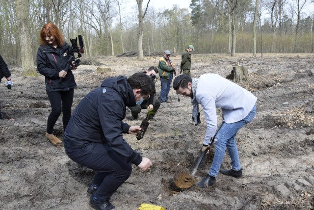 Nadleśnictwo Skierniewice, Las Zwierzyniecki