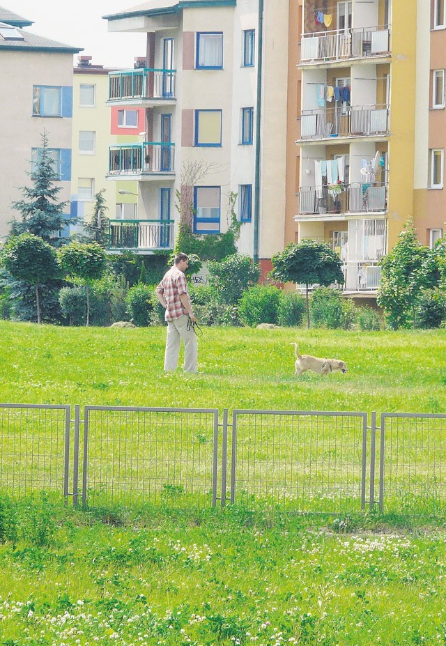 Za kilka miesięcy zostaną tu posadzone drzewa i krzewy